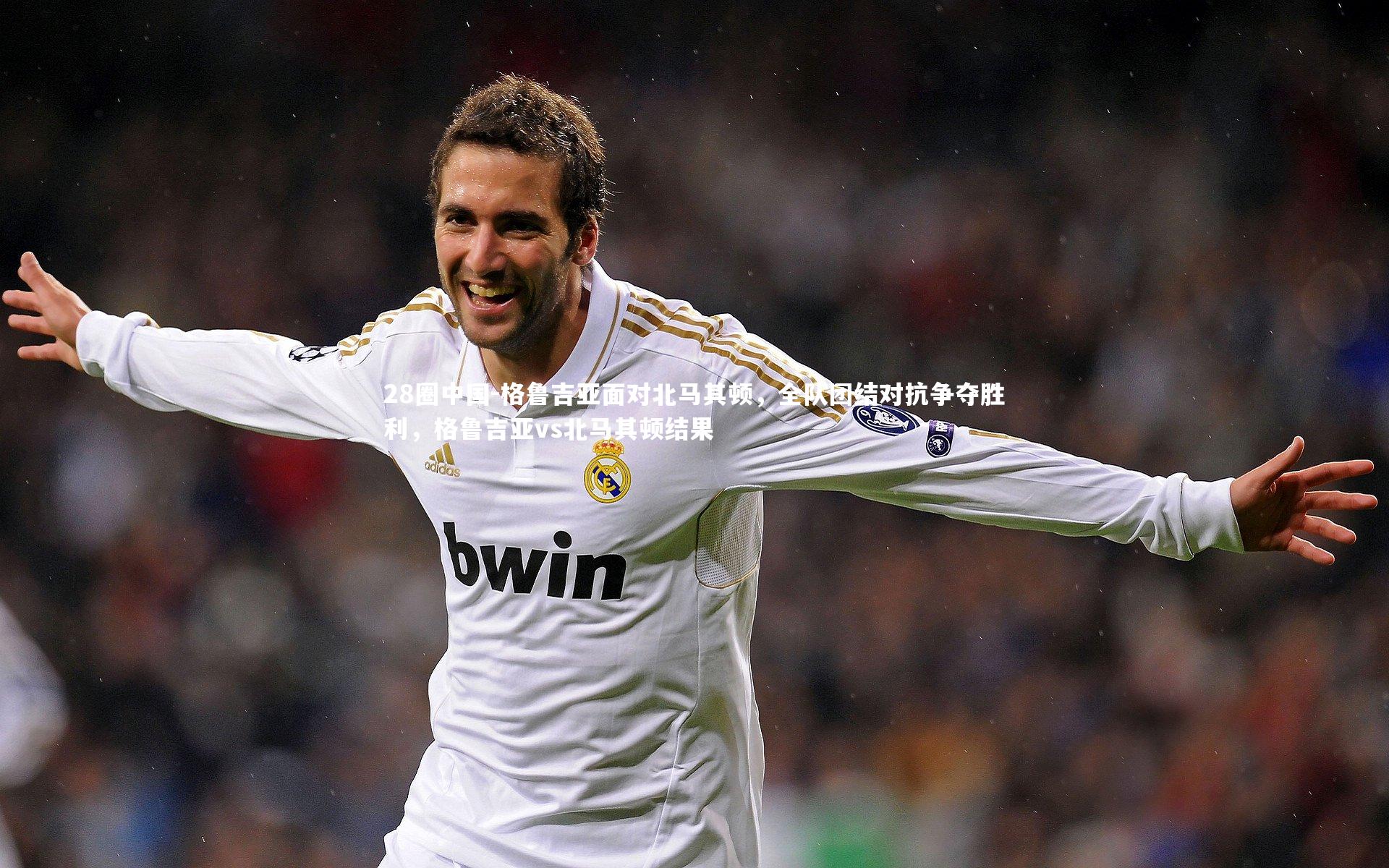 28圈中国-格鲁吉亚面对北马其顿，全队团结对抗争夺胜利，格鲁吉亚vs北马其顿结果