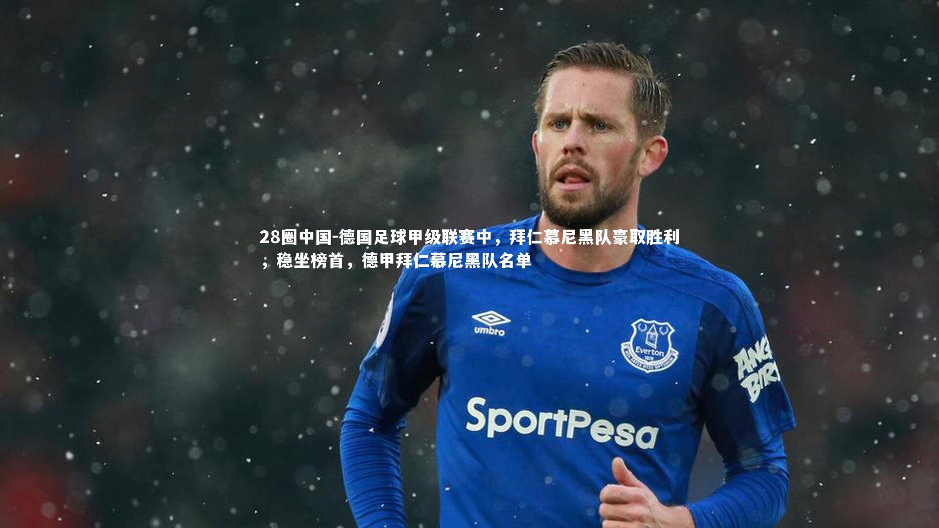 德国足球甲级联赛中，拜仁慕尼黑队豪取胜利，稳坐榜首，德甲拜仁慕尼黑队名单