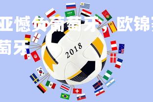 28圈中国-克罗地亚憾负葡萄牙，欧锦赛小组赛成绩堪忧，克罗地亚0:1葡萄牙